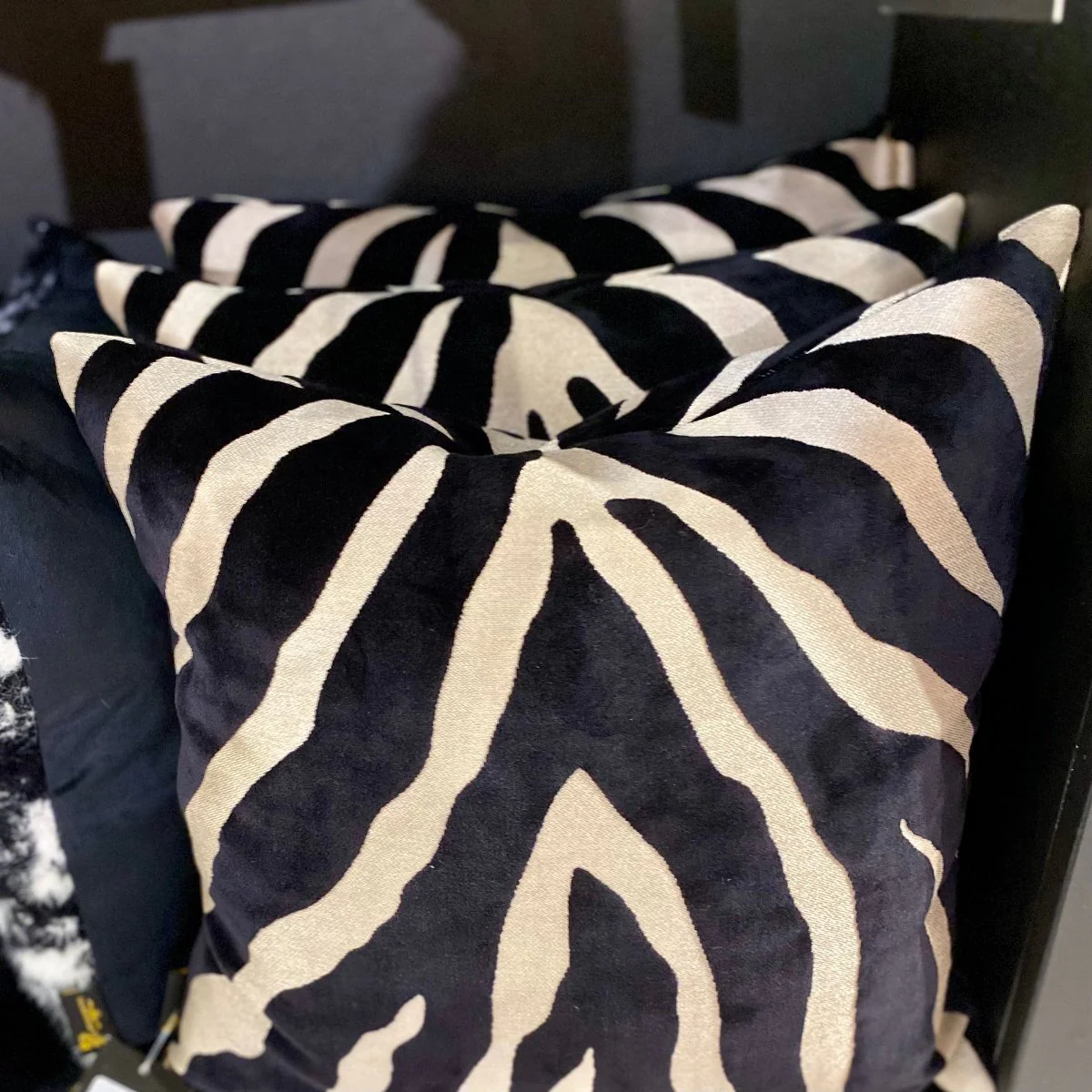 Malini Paul Moneypenny Zebedeedodah Cushion In Black - Image 3