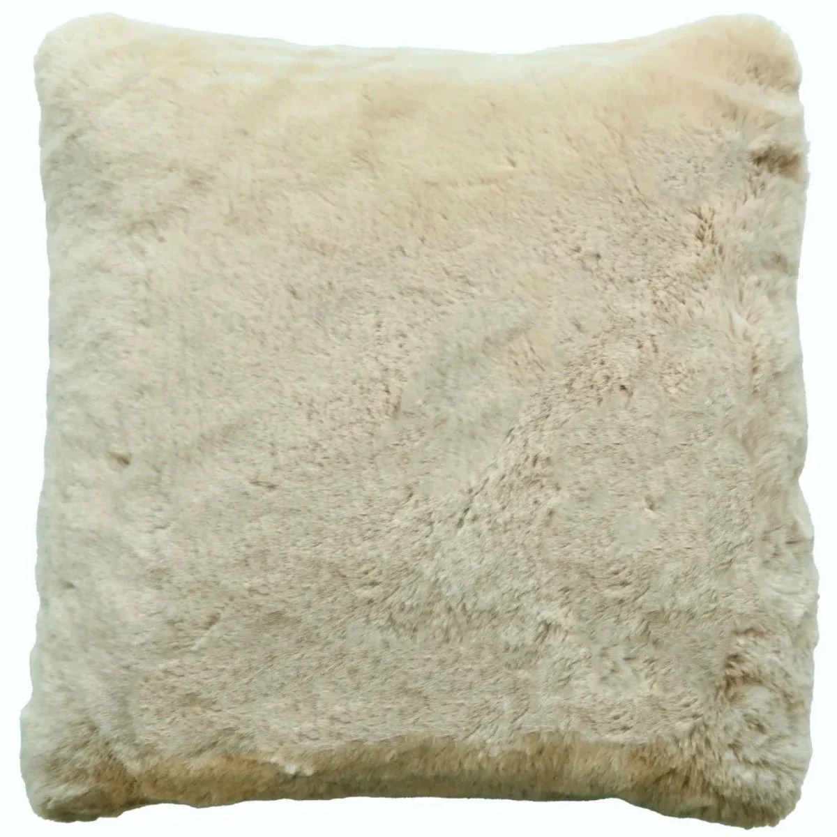 Malini Rapture Champagne Cushion - Image 2
