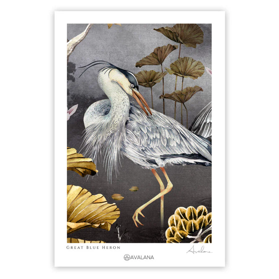 Avalana Midnight Crouching Heron Art Print