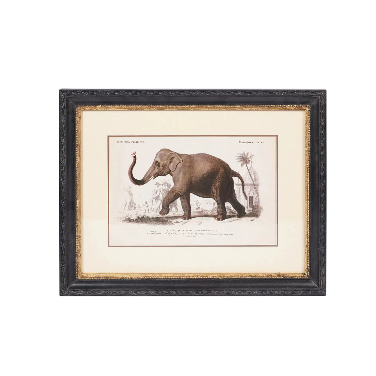 Mindy Brownes Lion and Elephant Print - Image 2