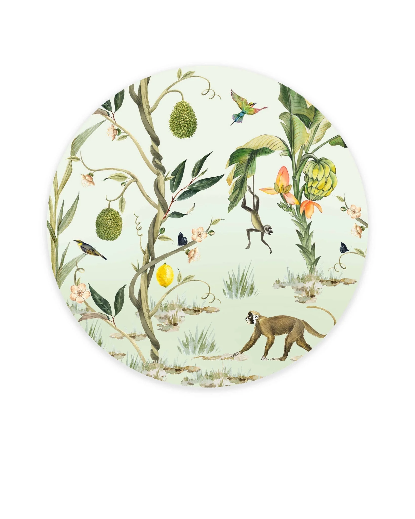 Creative Lab Amsterdam Monkey Life Wallpaper Circle Mural