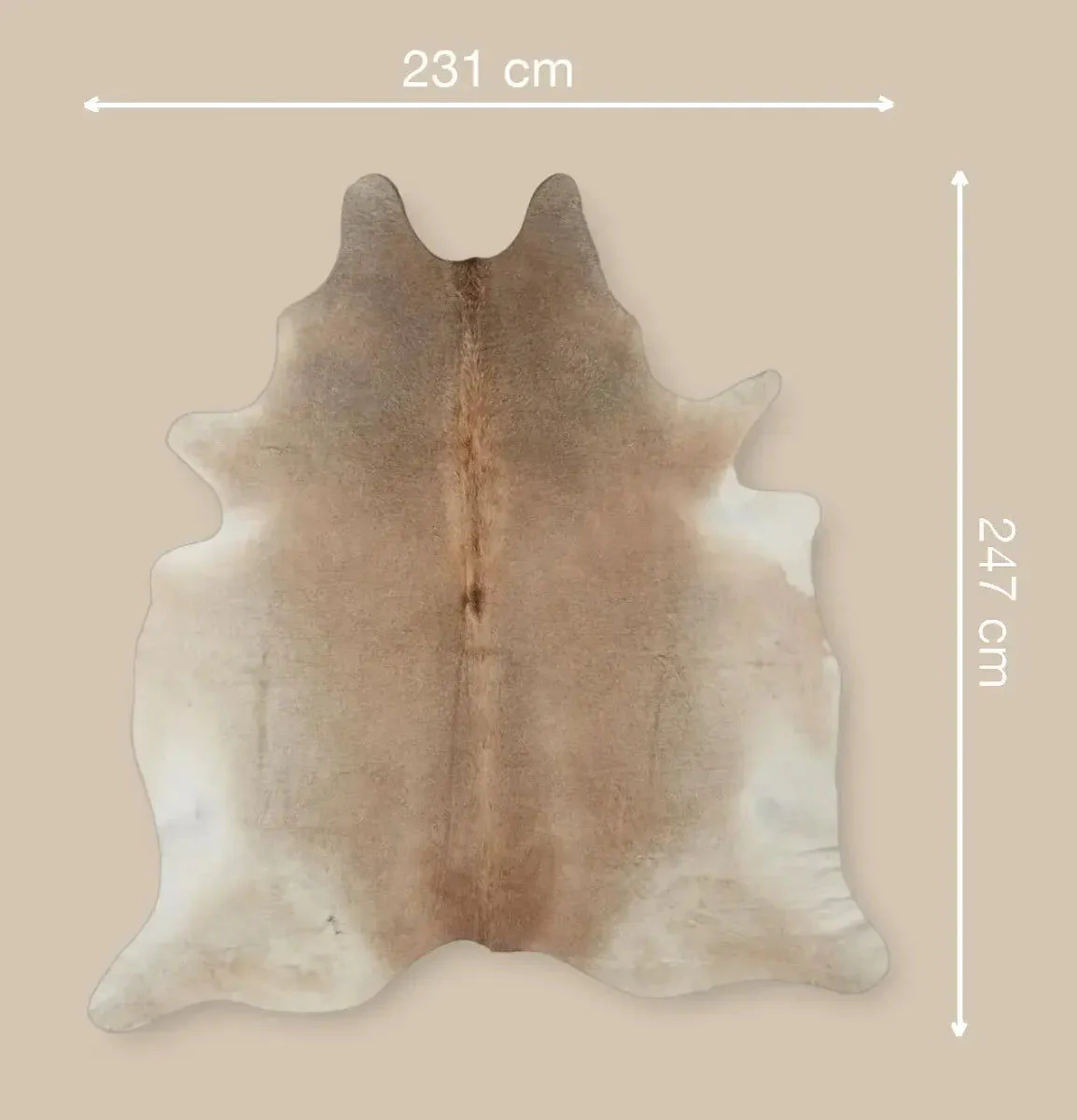 Natures Collection Cow Hide Rug | Grey Beige | 3,79 sqm - Image 3