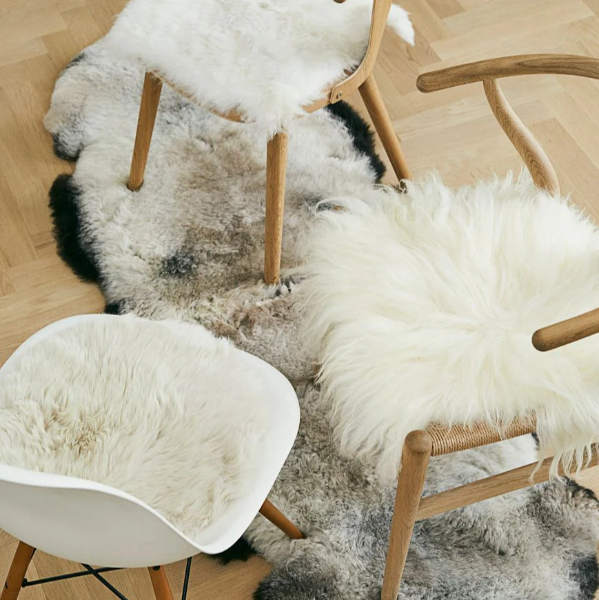 Natures Collection Icelandic Sheepskin | Short Wool | 180 cm - Image 2