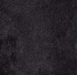 Natures Collection Short Wool Curly Sheepskin Shell Design Rug | 210x150 cm - Image 3