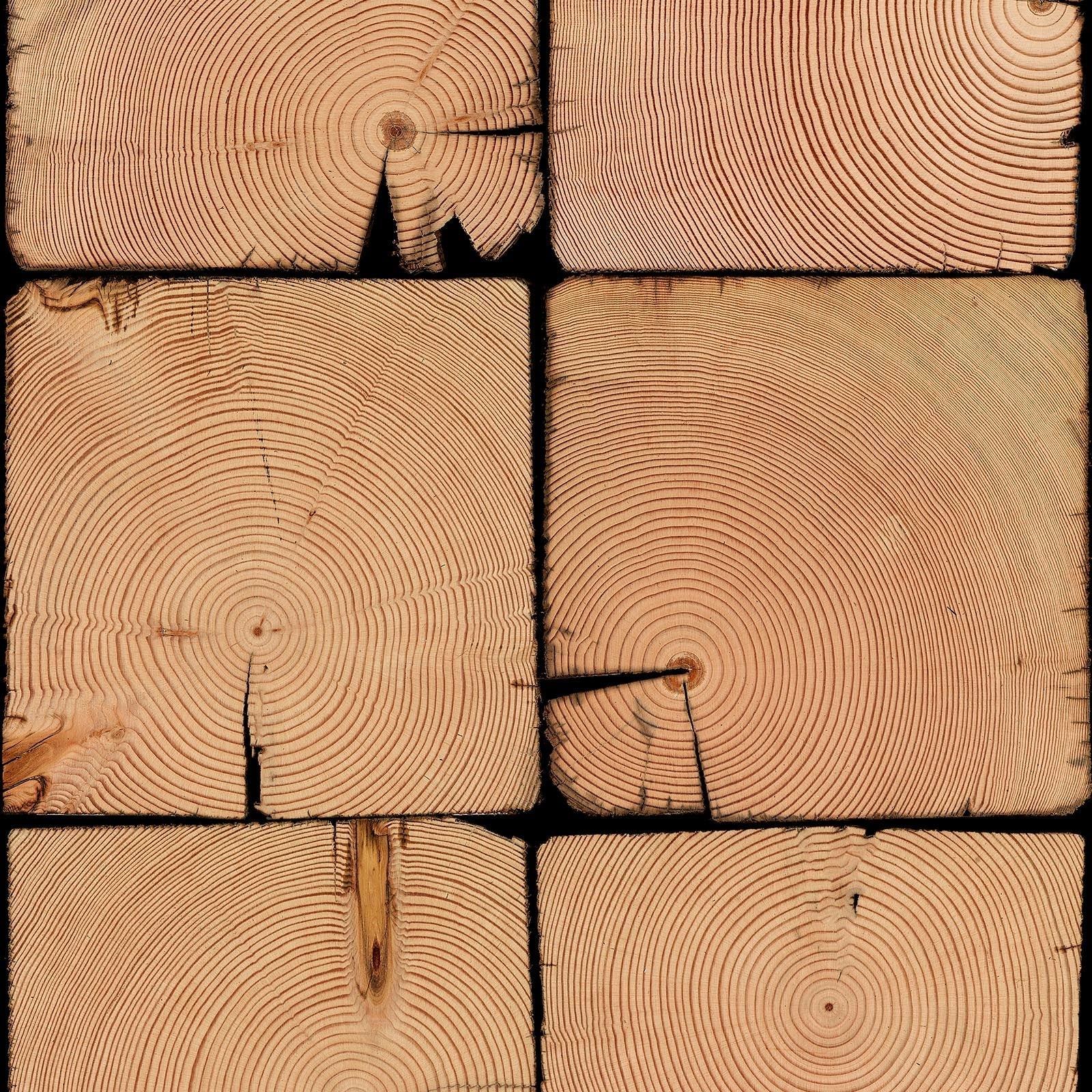 NLXL Beams Heads Scrapwood Wallpaper PHE-09 - Image 3