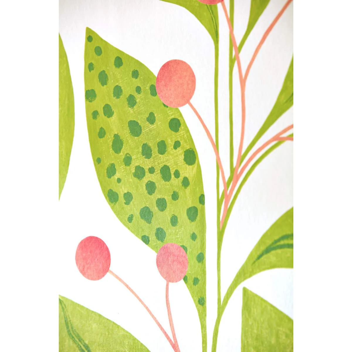 Ohpopsi Grafik Berry Dot - Pear & Peach - Image 4