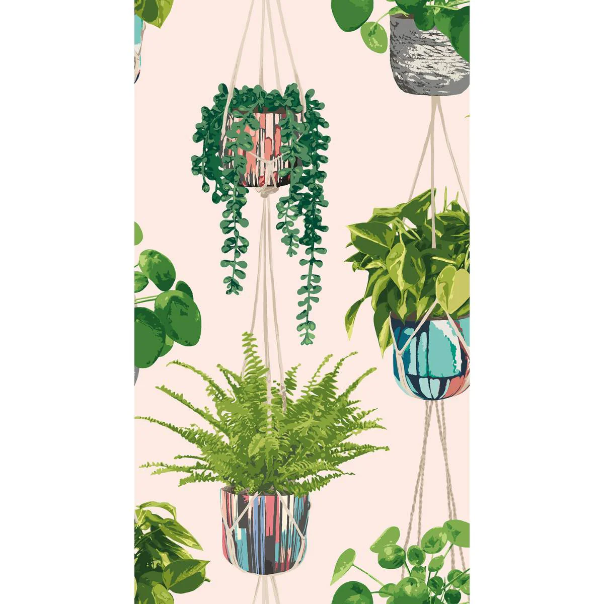 Ohpopsi Grafik Houseplant	- Ballet Slipper - Image 3