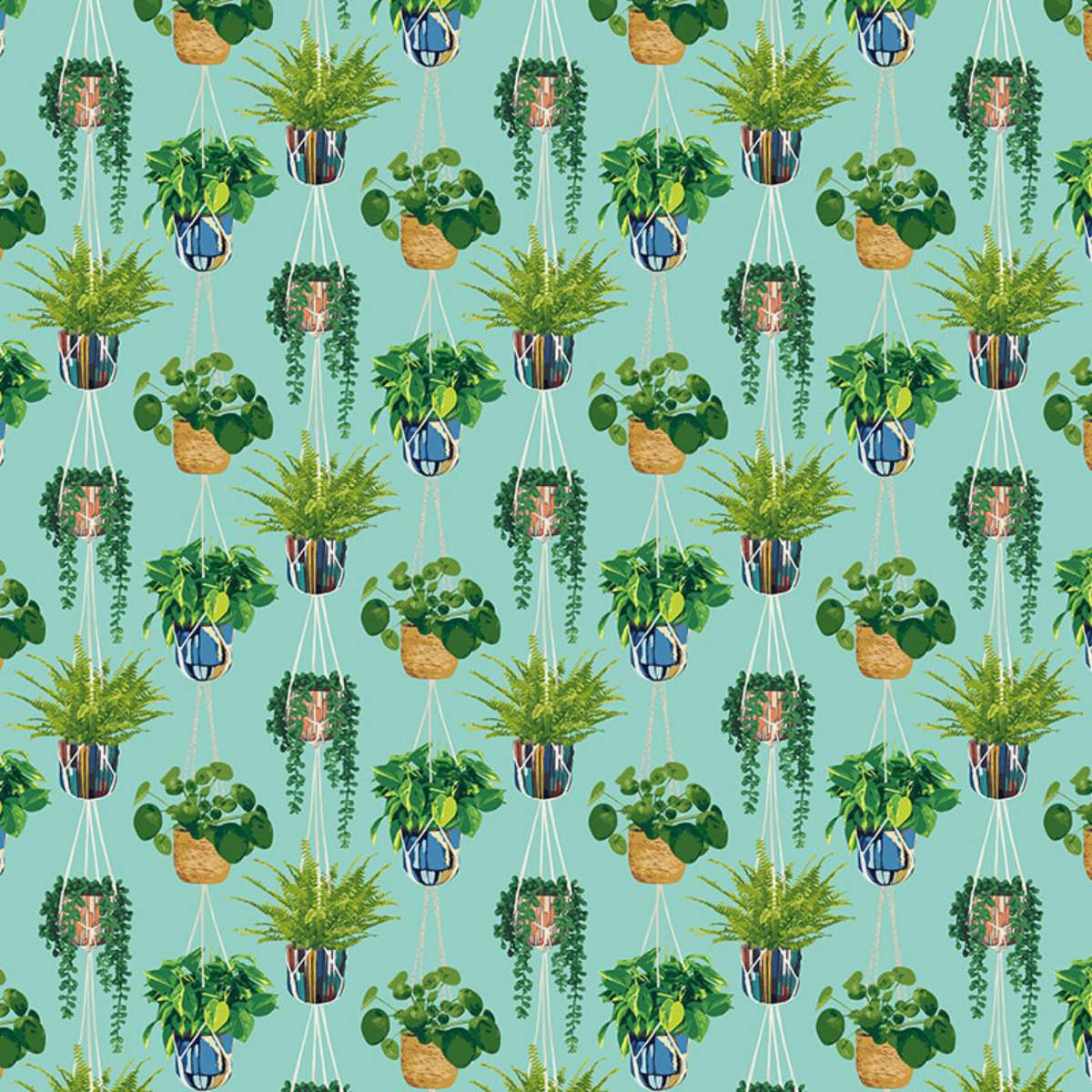 Ohpopsi Grafik Houseplant	- Cerulean Twist