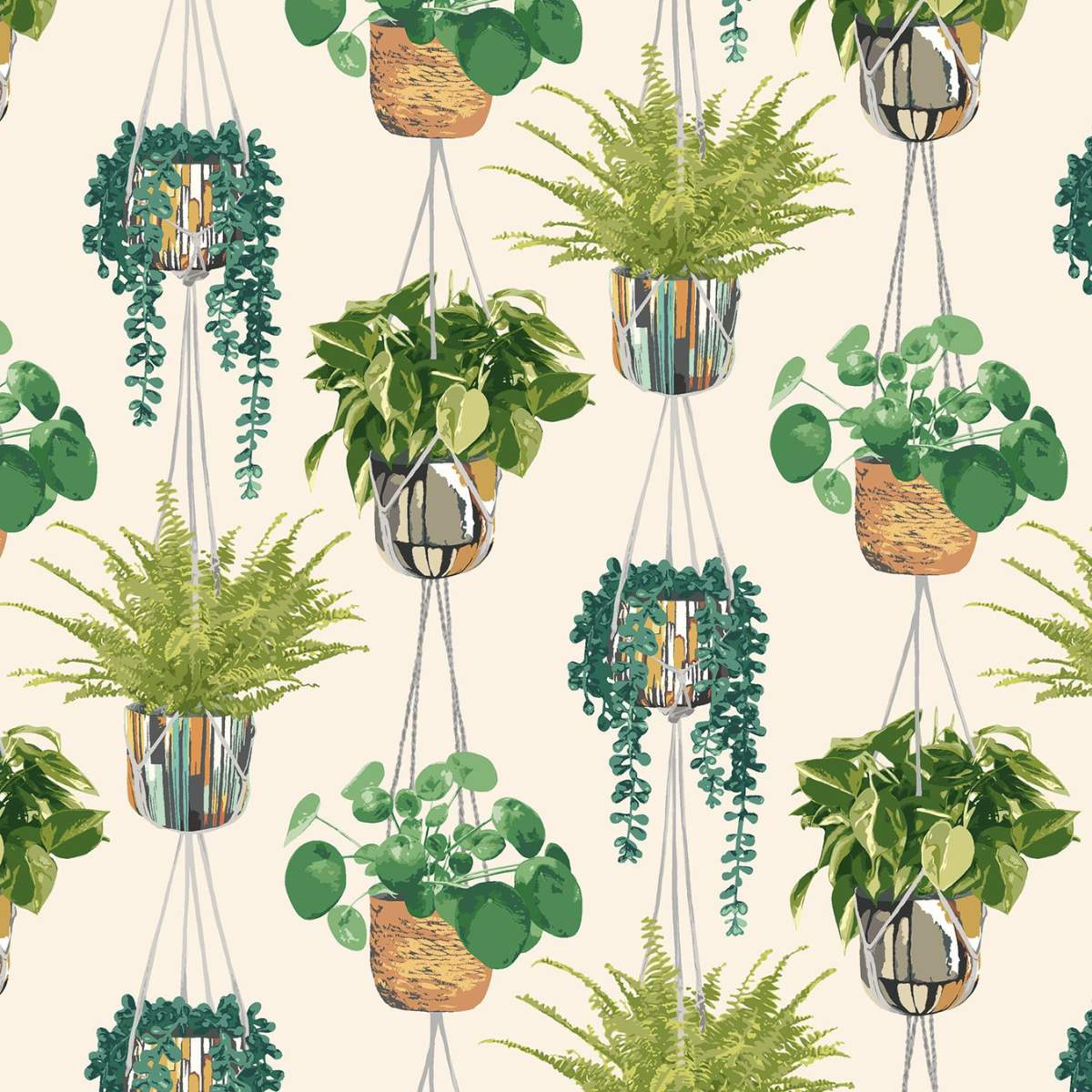 Ohpopsi Grafik Houseplant	- Sage & Cider - Image 2