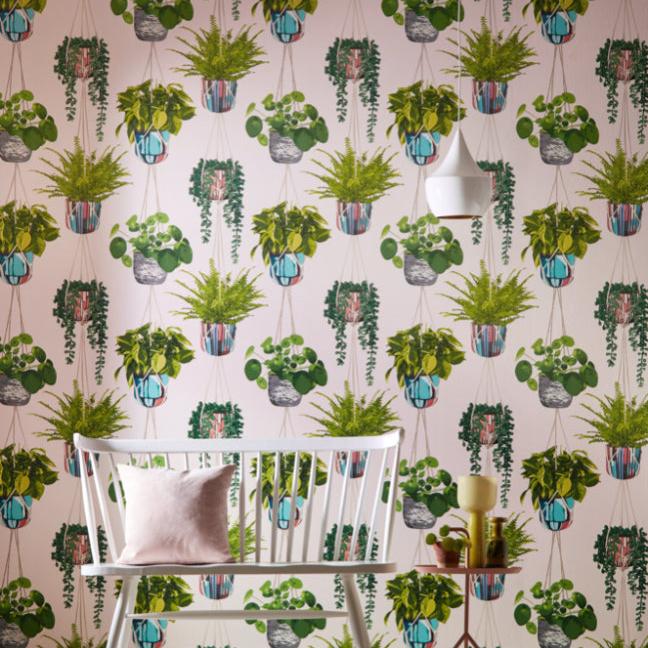 Ohpopsi Houseplant Wallpaper - Ballet Slipper
