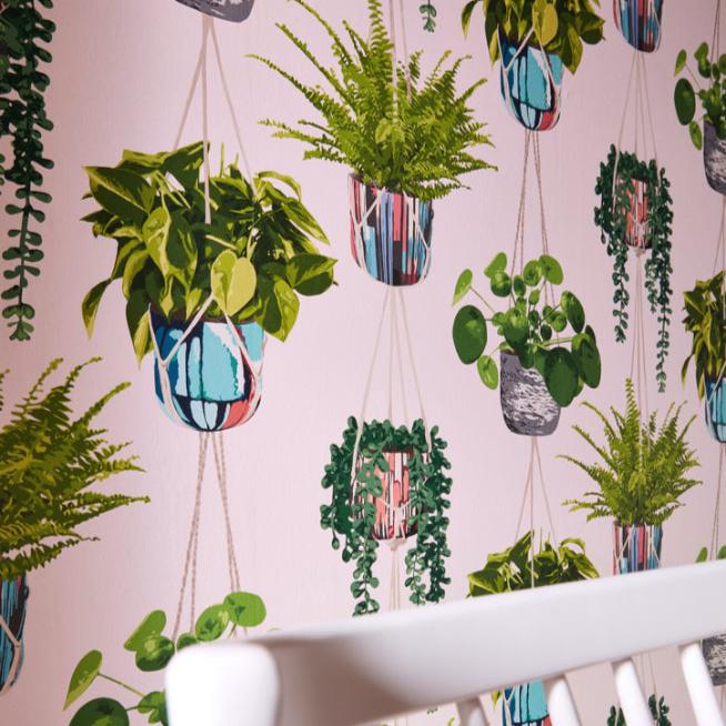 Ohpopsi Houseplant Wallpaper - Ballet Slipper - Image 2