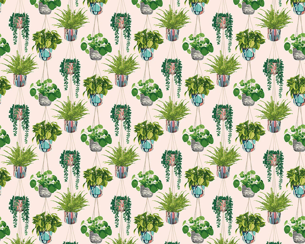 Ohpopsi Houseplant Wallpaper - Ballet Slipper - Image 4