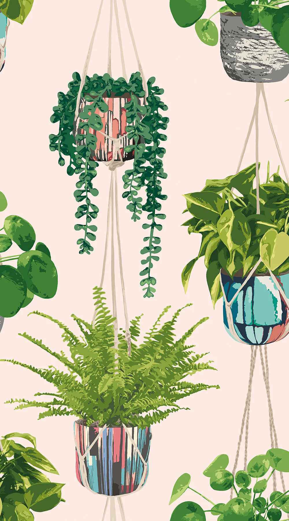 Ohpopsi Houseplant Wallpaper - Ballet Slipper - Image 5