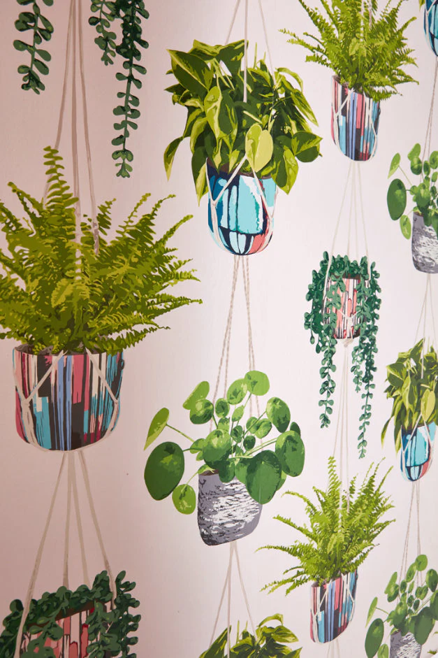 Ohpopsi Houseplant Wallpaper - Ballet Slipper - Image 6