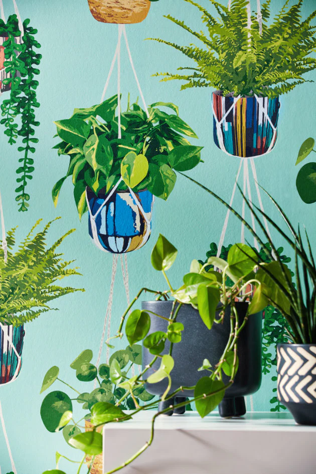 Ohpopsi Houseplant Wallpaper - Cerulean Twist - Image 4