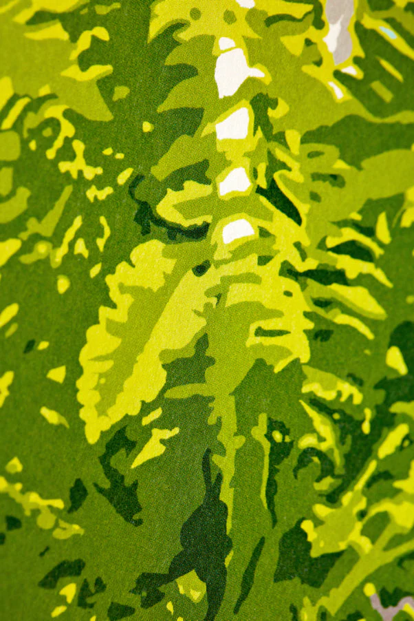 Ohpopsi Houseplant Wallpaper - Cerulean Twist - Image 6