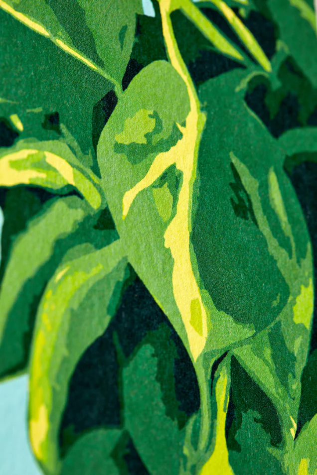 Ohpopsi Houseplant Wallpaper - Cerulean Twist - Image 7