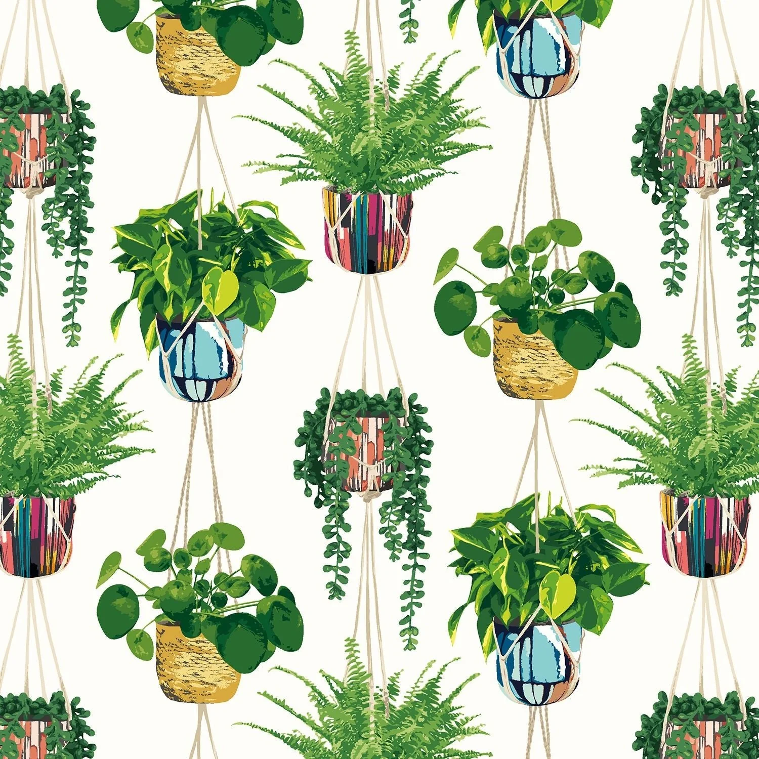 Ohpopsi Houseplant Wallpaper - Parakeet