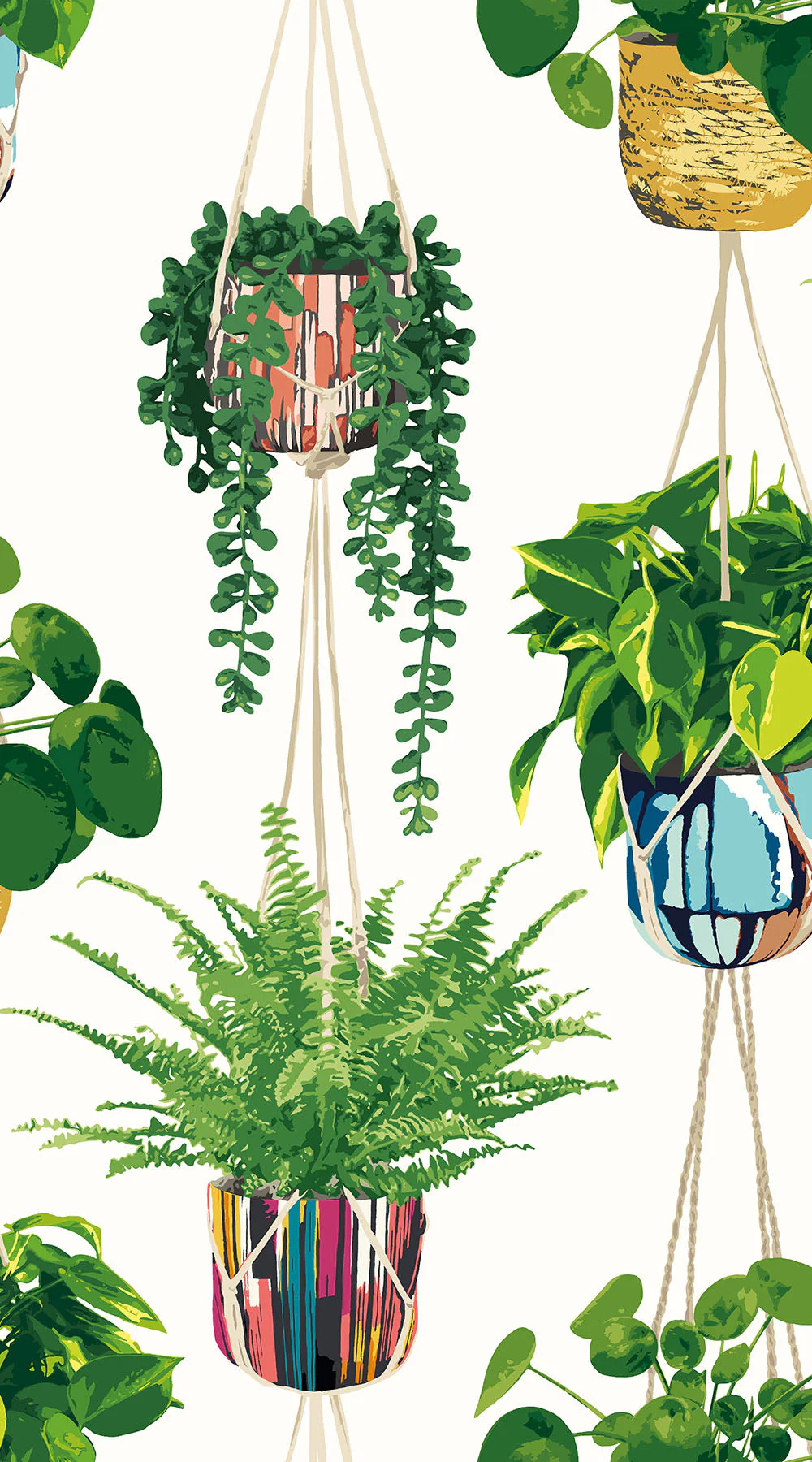 Ohpopsi Houseplant Wallpaper - Parakeet - Image 4