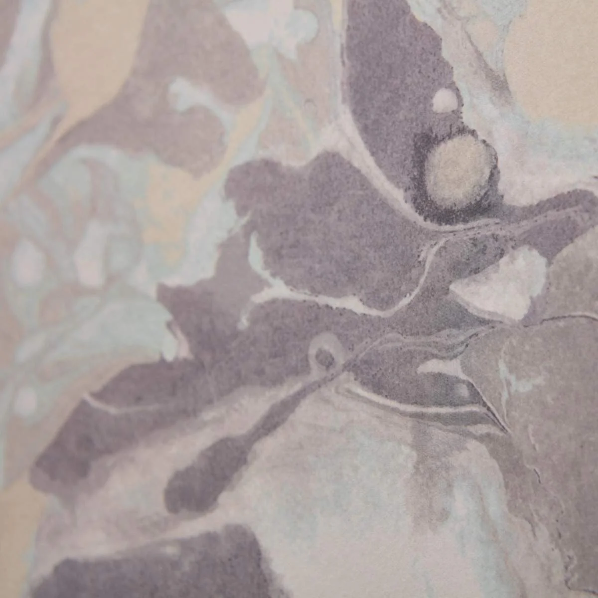 Ohpopsi Grafik Venetian - Powder Swirl - Image 3