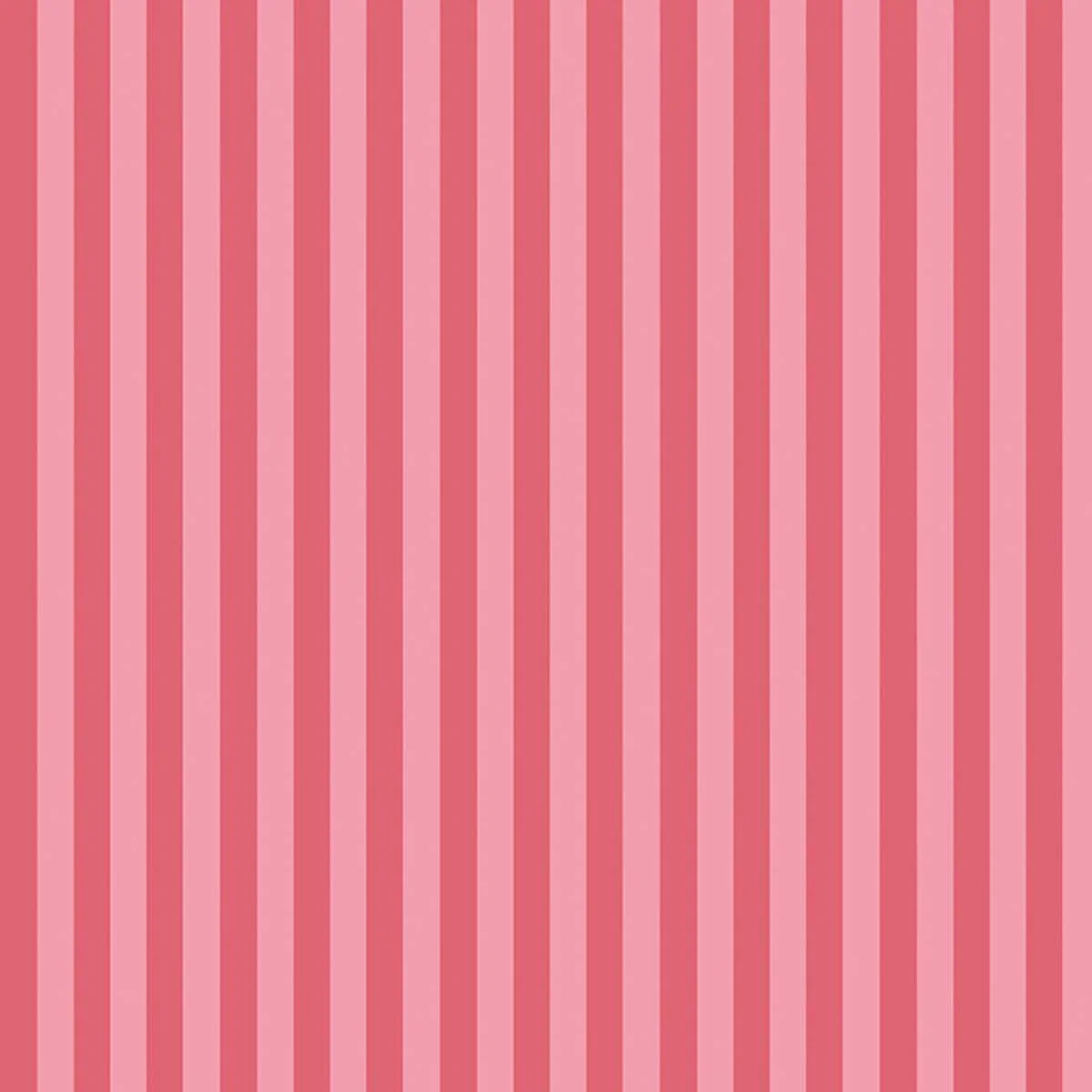 Ohpopsi So Stripey Bloc Stripe - Coral - Image 2
