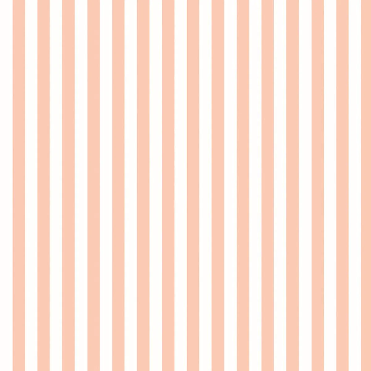Ohpopsi So Stripey Bloc Stripe - Peach Puff - Image 2