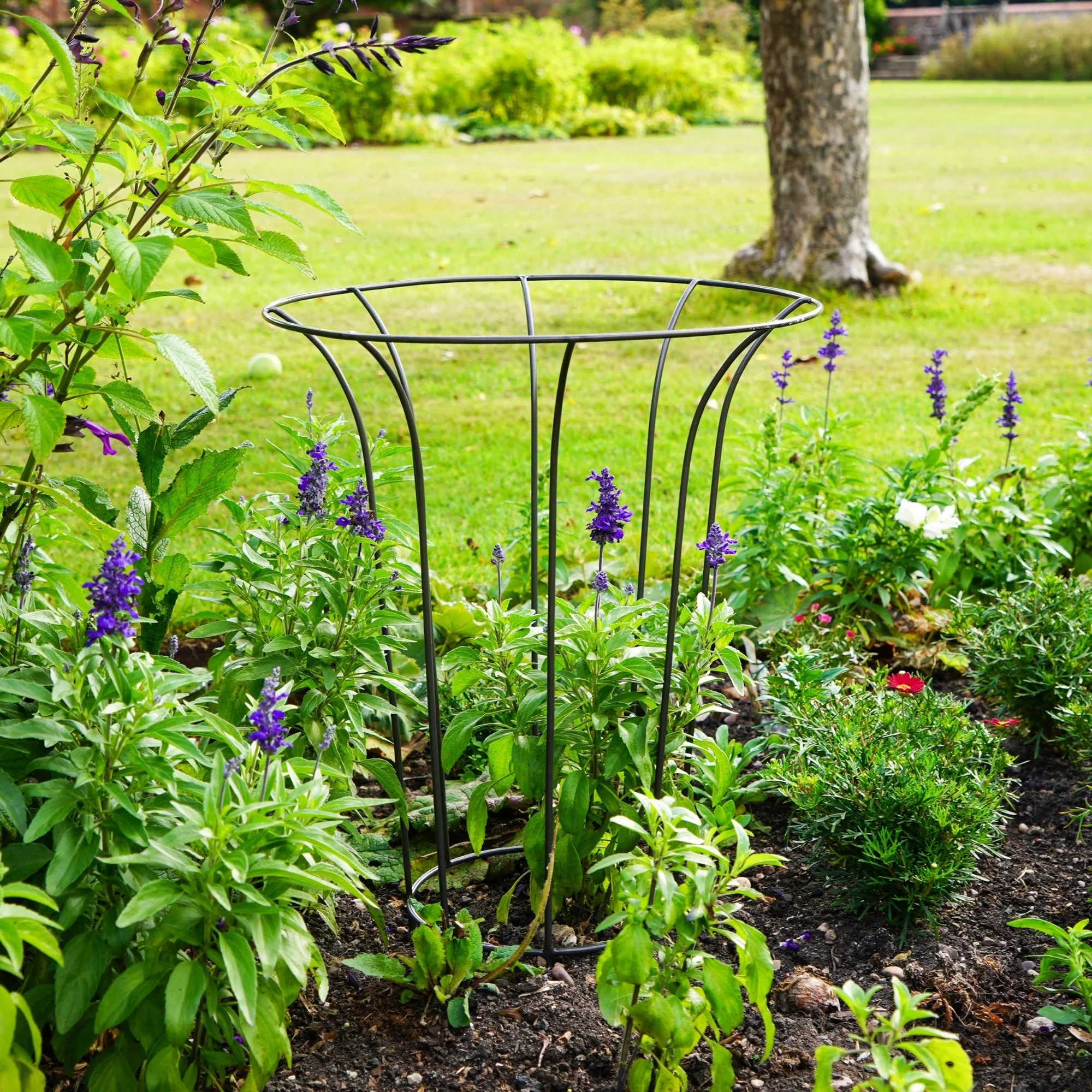 Ivyline Climber Plant Fluted Garden Support - Image 3