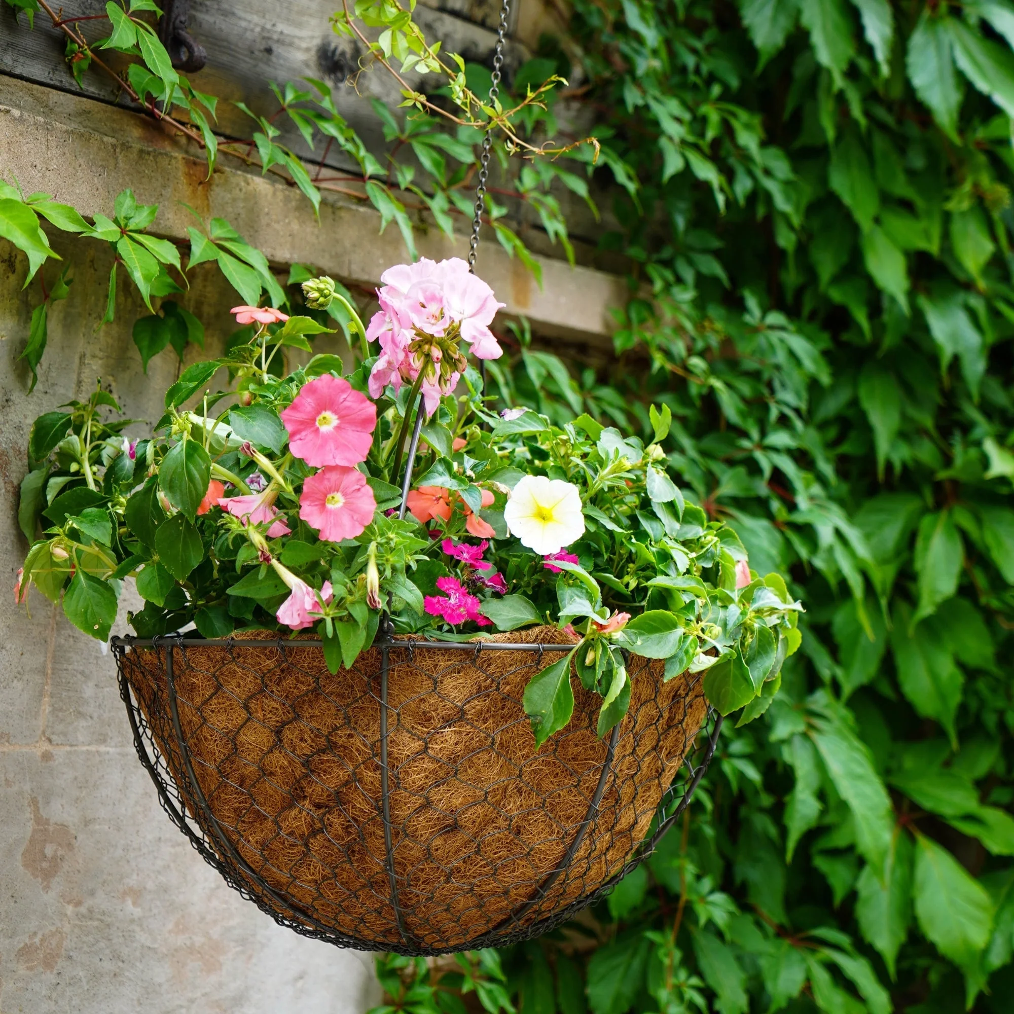 Ivyline Outdoor Hanging Wired Netted Basket - Image 2
