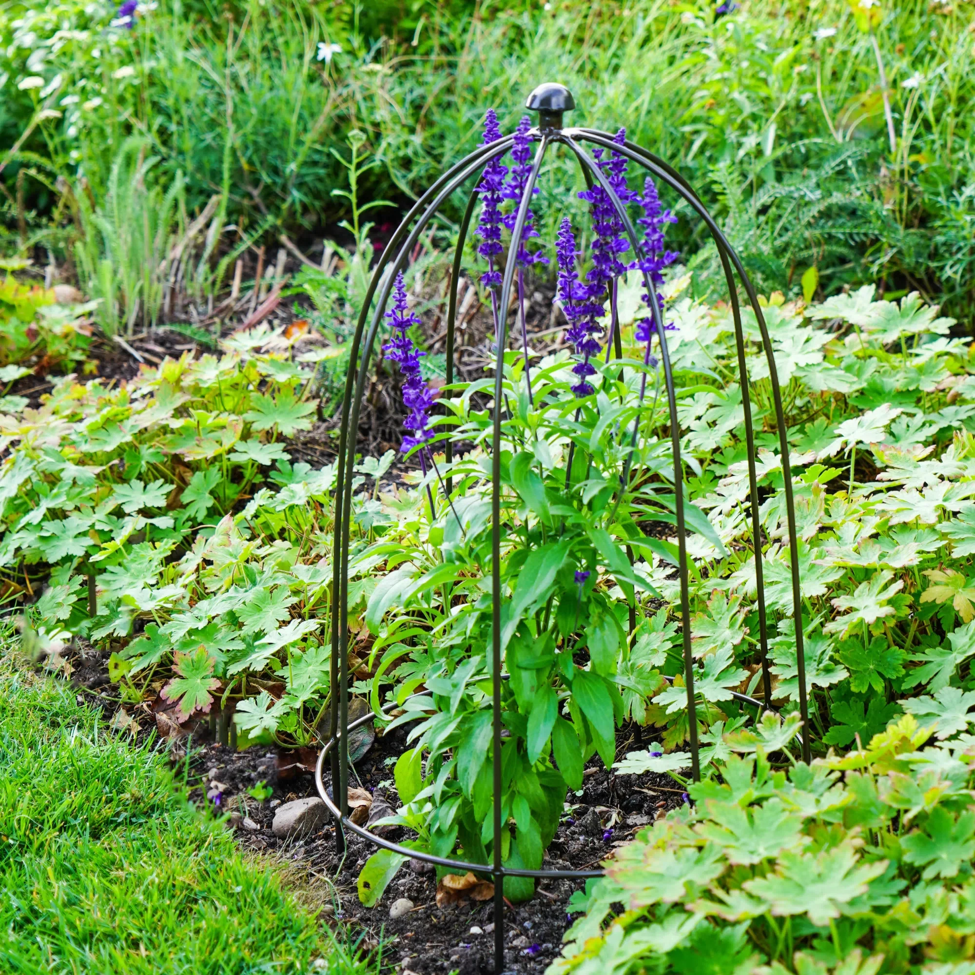 Ivyline Climbing Plant Metal Obelisk Support, Zinc - Image 2