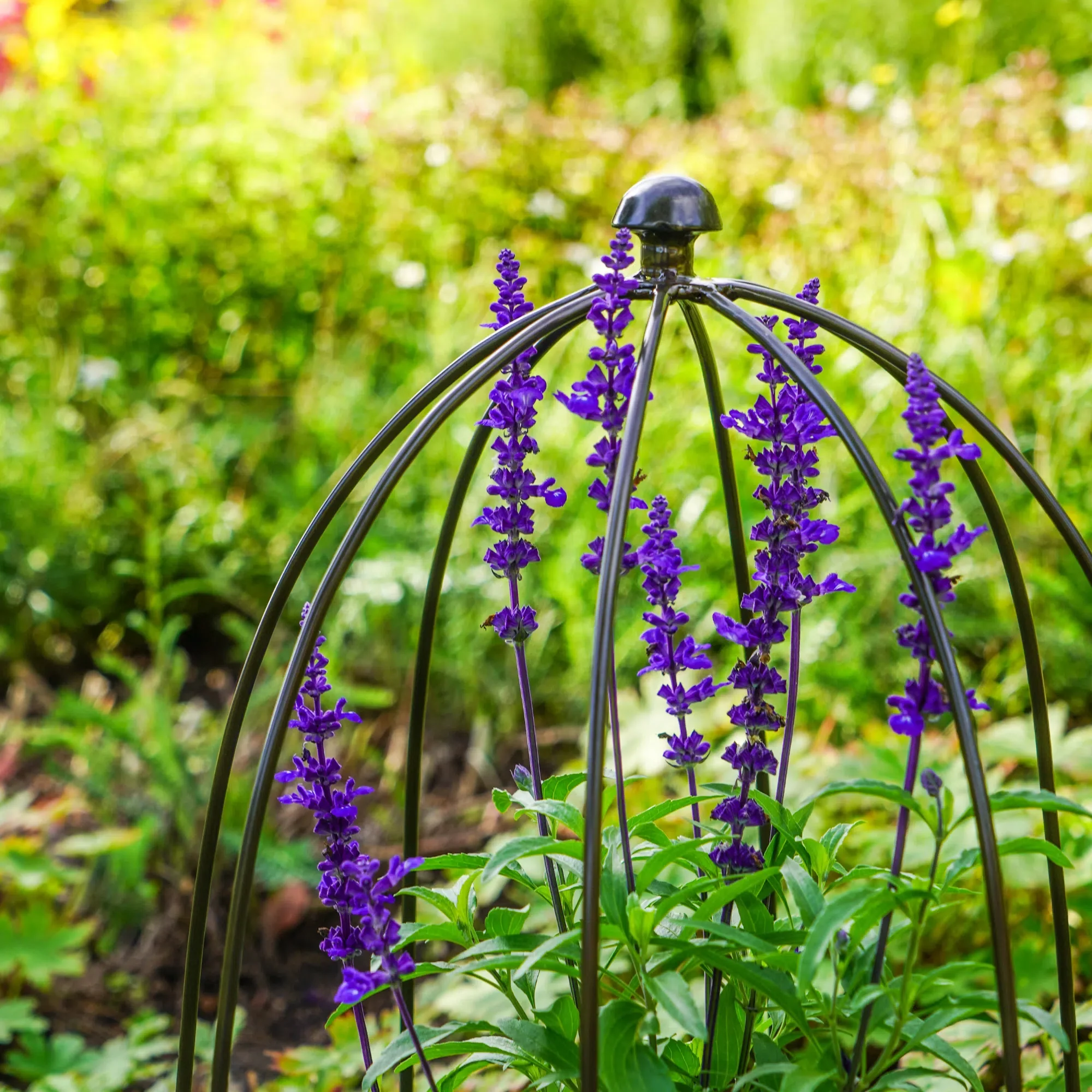 Ivyline Climbing Plant Metal Obelisk Support, Zinc - Image 8
