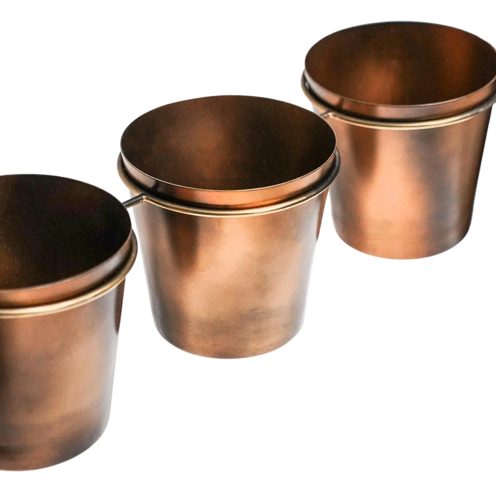 Ivyline Outdoor Vertical Gold Metal Wall Plant Stand with Planters - Image 15