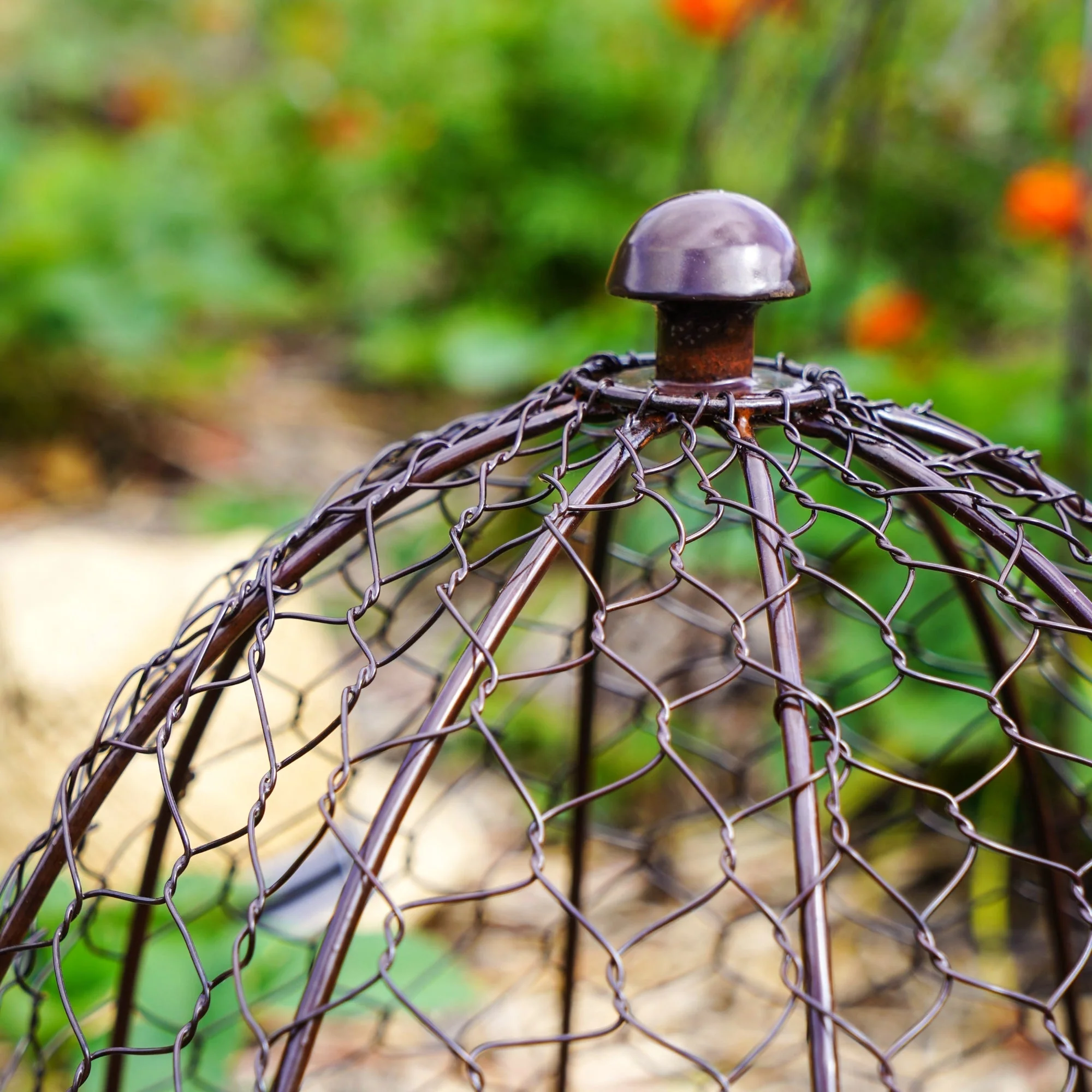Ivyline Outdoor Wire Netted Plant Cloche Protector - Image 11