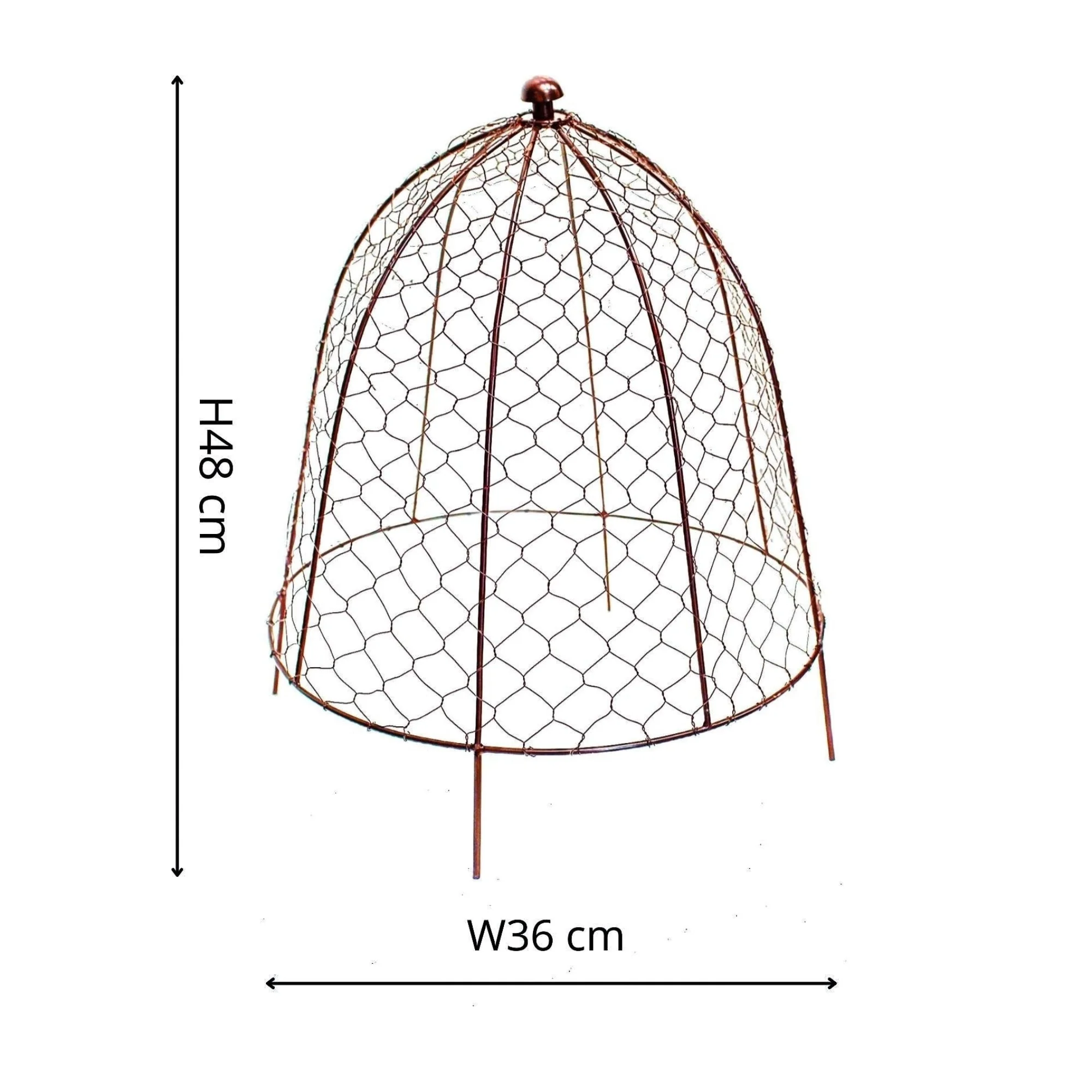 Ivyline Outdoor Wire Netted Plant Cloche Protector - Image 13