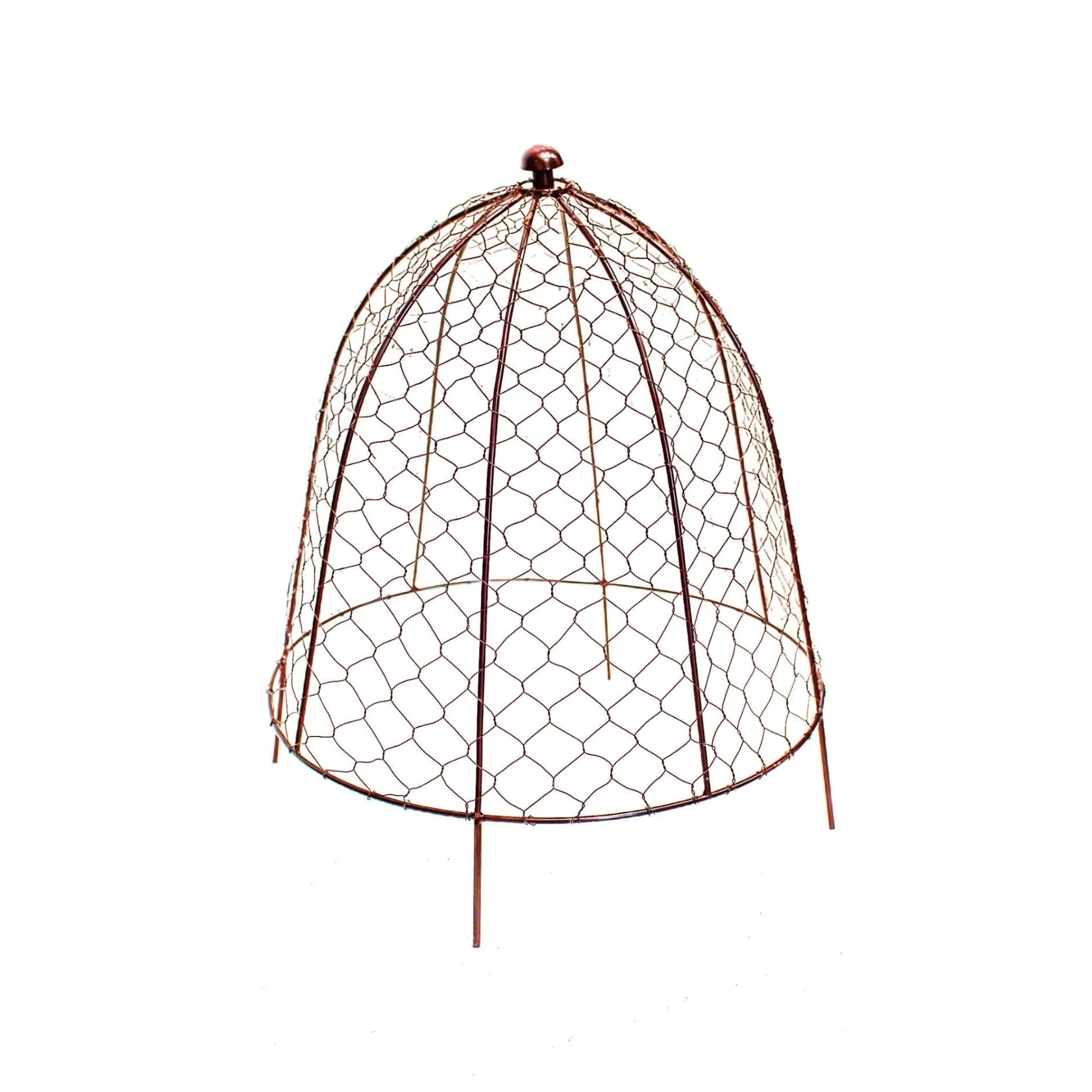 Ivyline Outdoor Wire Netted Plant Cloche Protector - Image 8