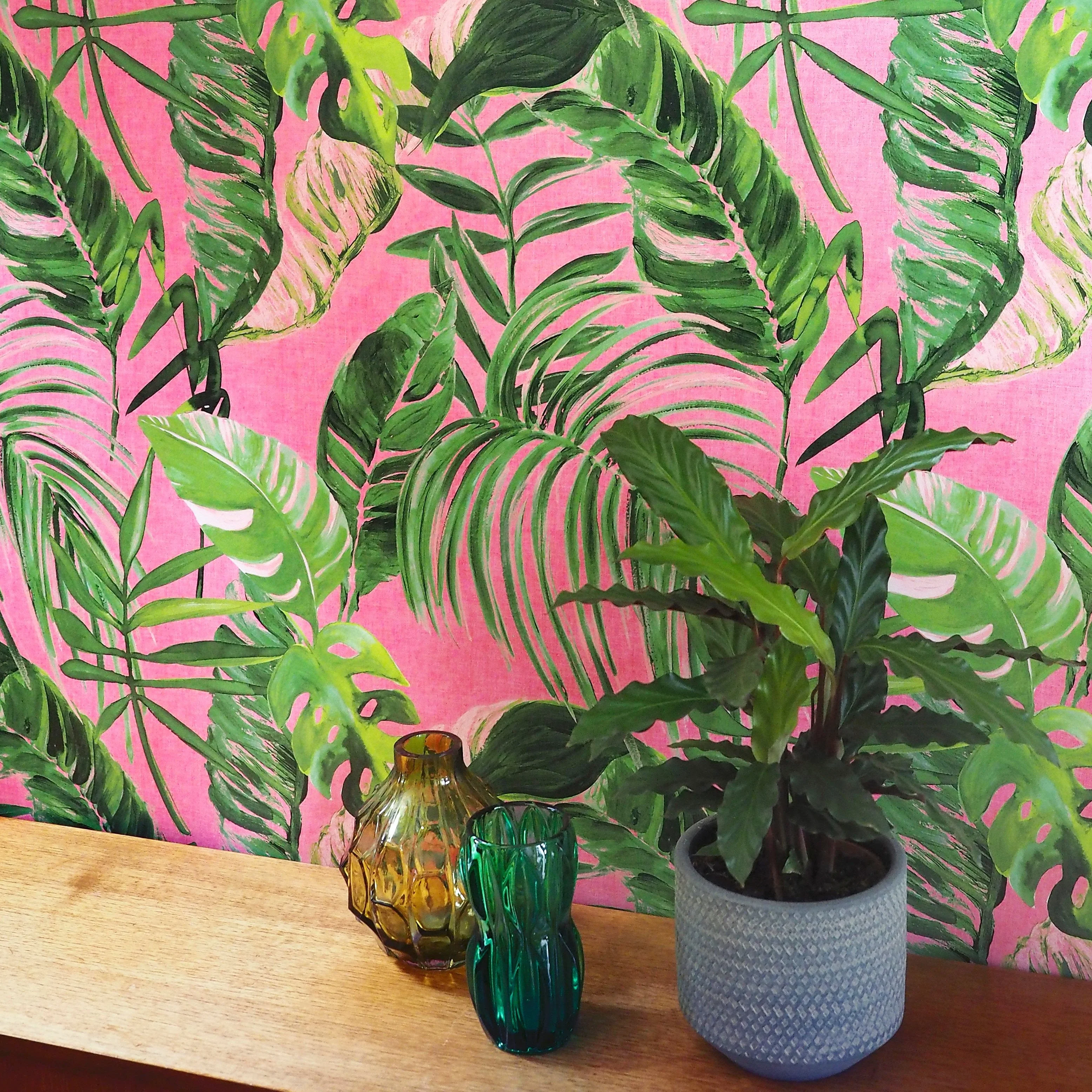Ohpopsi Palmera Wallpaper - Fuchsia