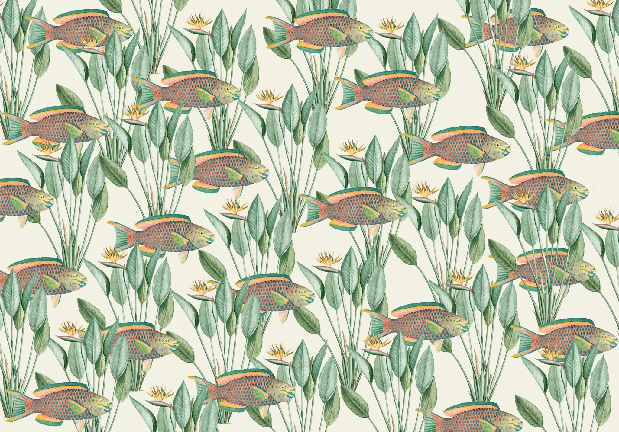 Creative Lab Amsterdam Parrot Fish Wallpaper Mural - Image 3
