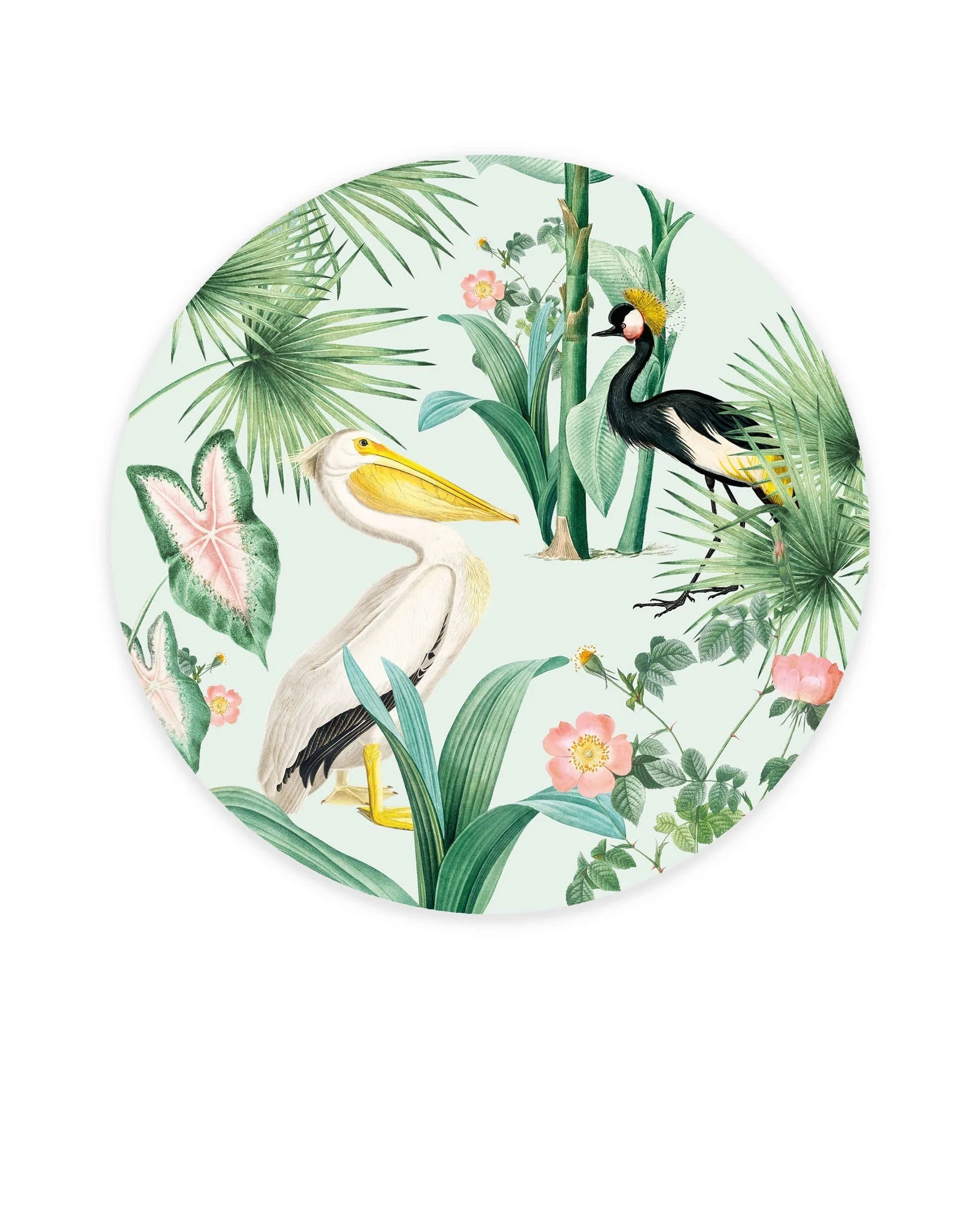 Creative Lab Amsterdam Pelican Wallpaper Circle Mural