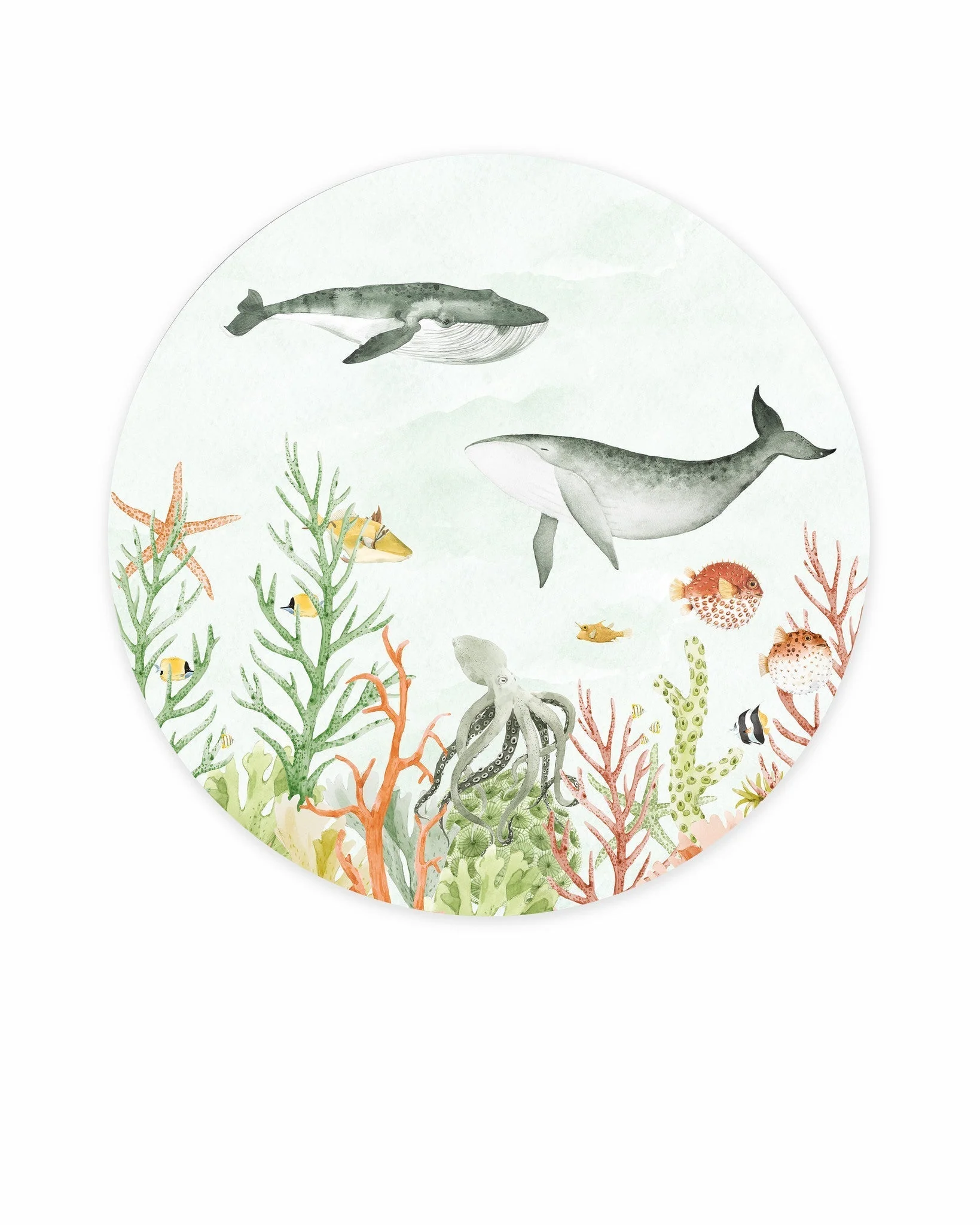 Creative Lab Amsterdam Sealife Coral Wallpaper Circle Mural