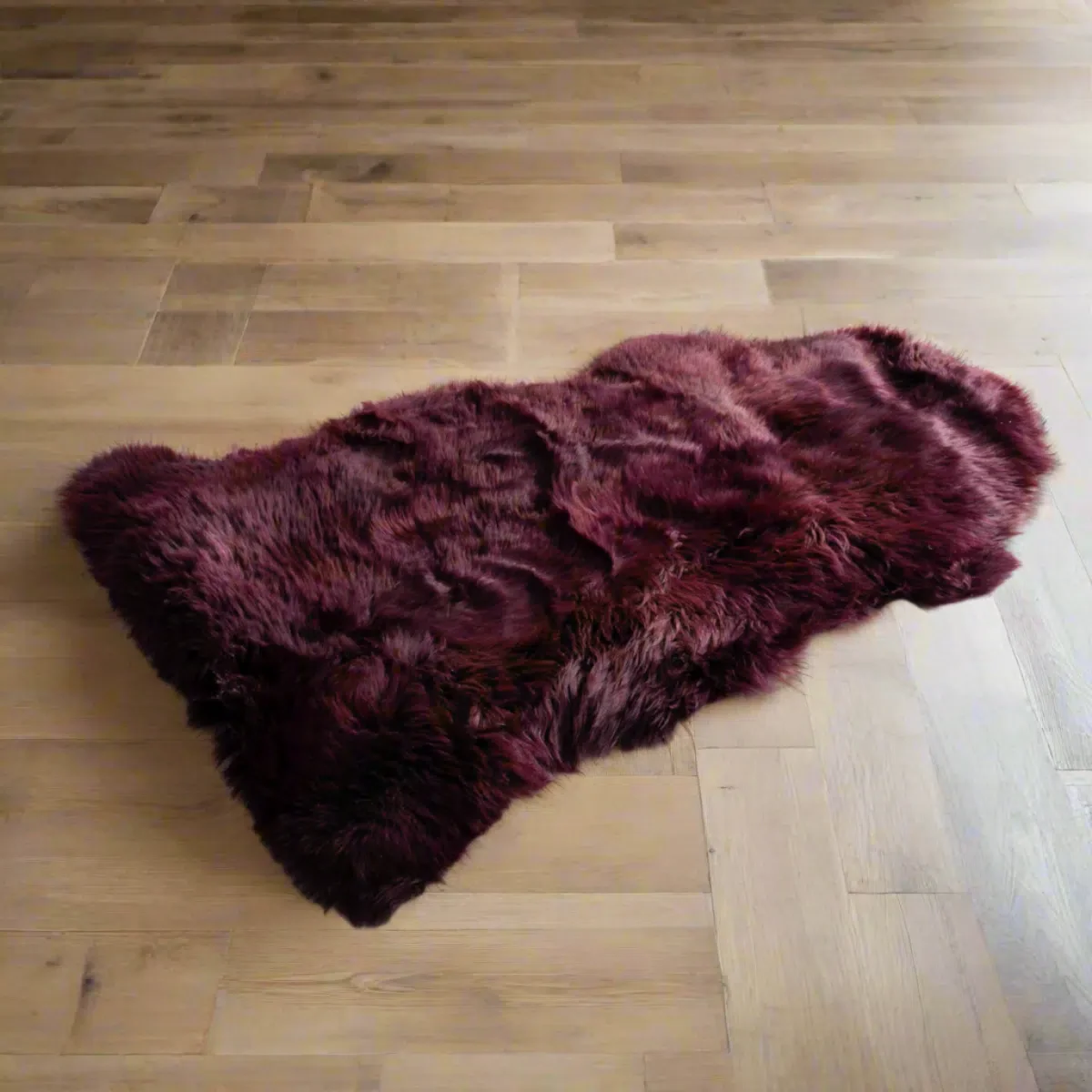 Native Home Sheepskin Rug XXL - Image 8