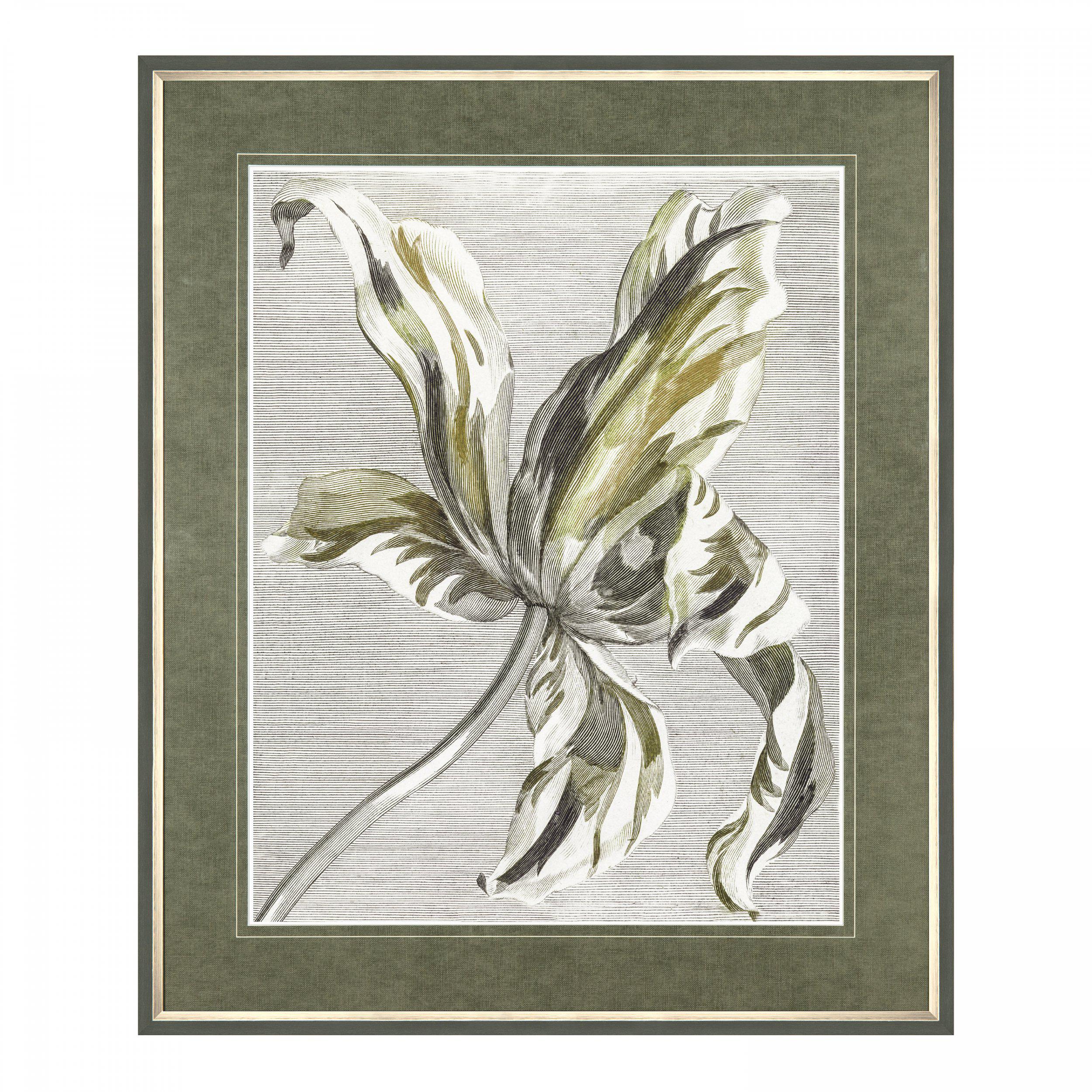Art Marketing ‘Tulip Bloom’ Wall Art