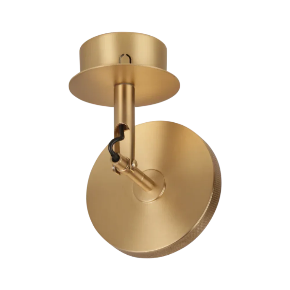 Umage Asteria Spot Light In Polished Brass - Image 2