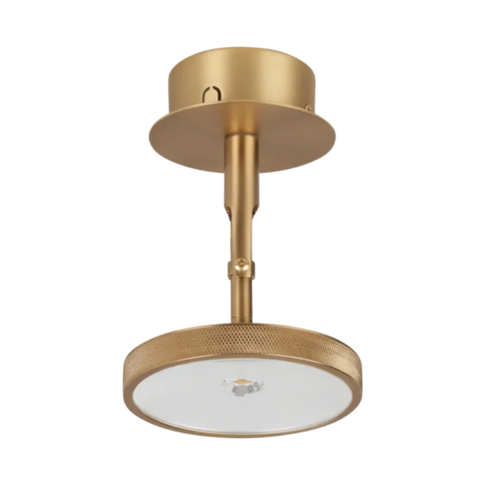 Umage Asteria Spot Light In Polished Brass - Image 5