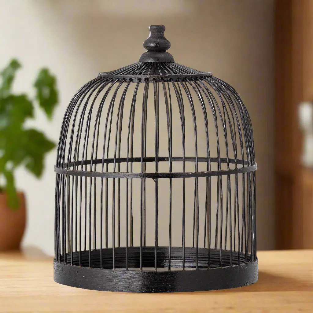 Creative Collection Wed Bamboo Plant Cloche Black - Image 2