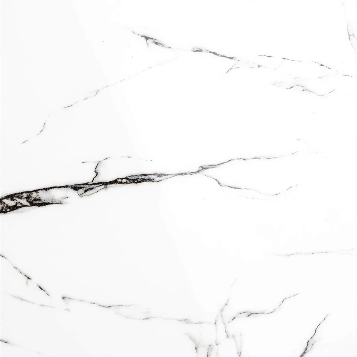 White Label Living Table Maru - Image 12
