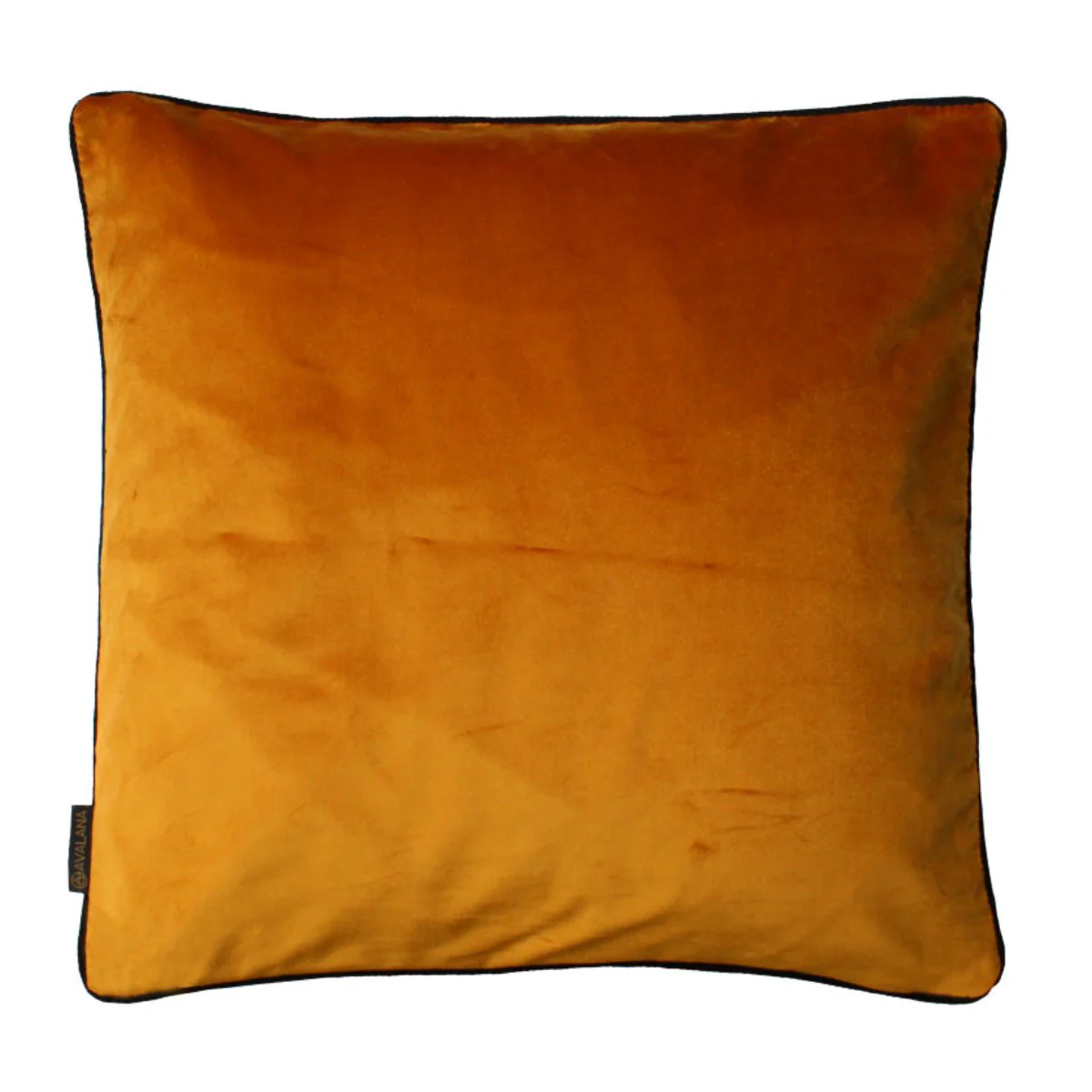 Avalana Wild Grasses Gold Piped Velvet Cushion - Image 4